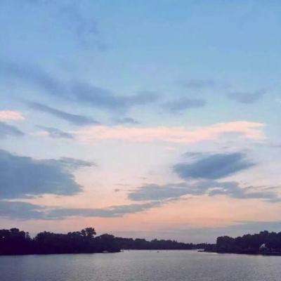 乐鱼app登录入口下载手机版